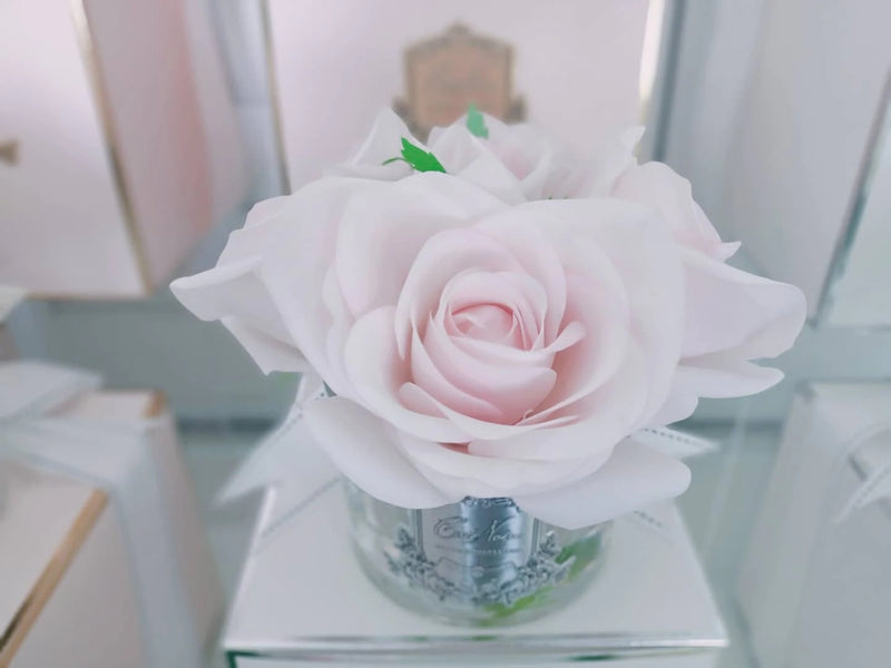 Cote Noire - Natural Touch 5 Roses - French Pink