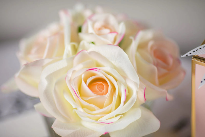 Cote Noire - 5 Roses Pink Blush - Pink Box