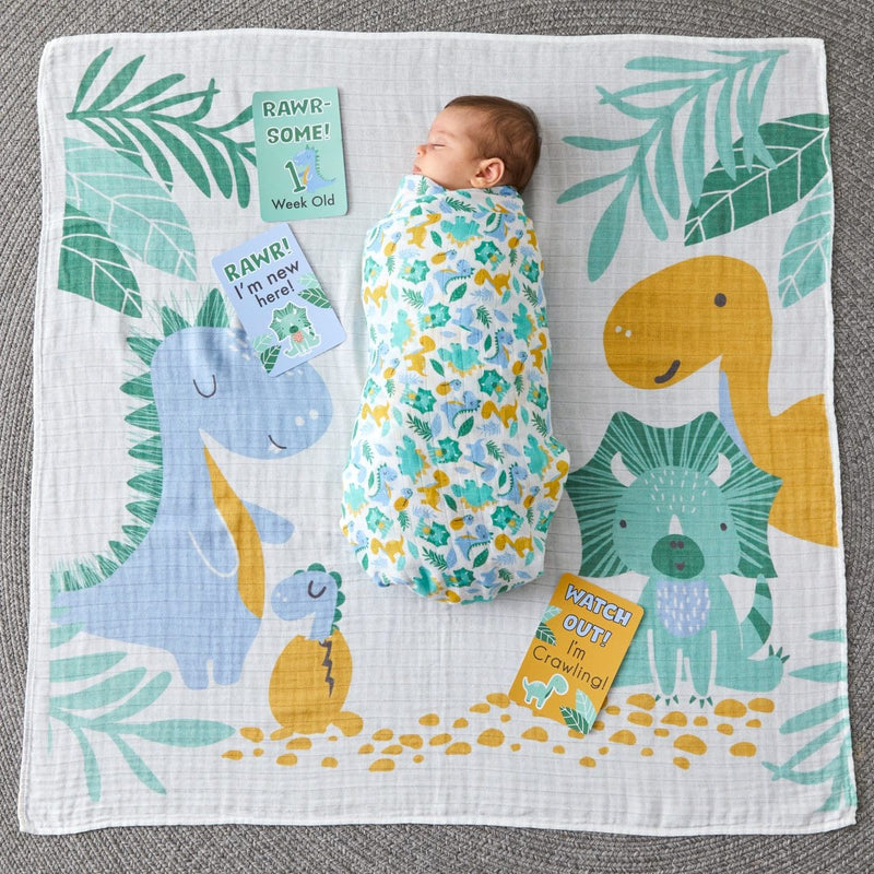 Jiggle & Giggle - Milestone Muslin Set - Dinosaurs