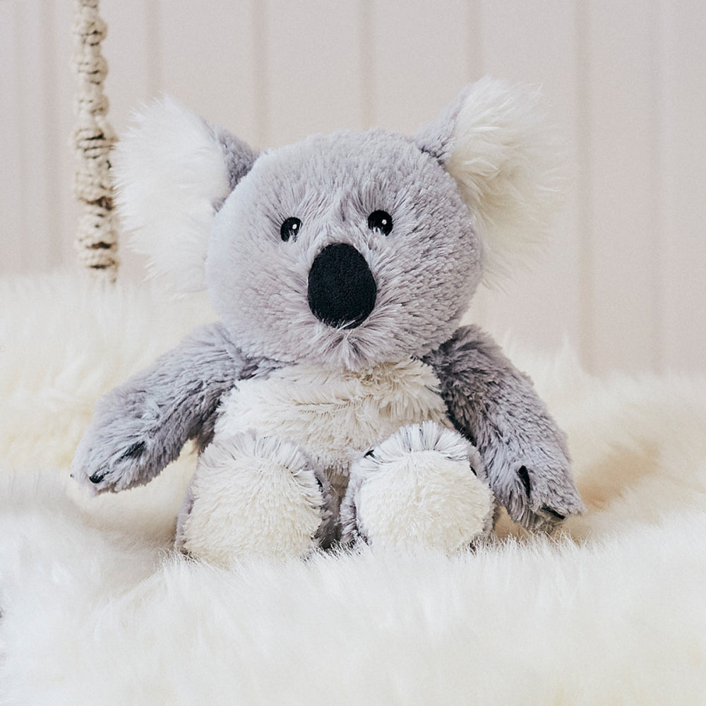 Buy Warmies Koala Buy Gift, Clothing, Footwear, Accessories Online