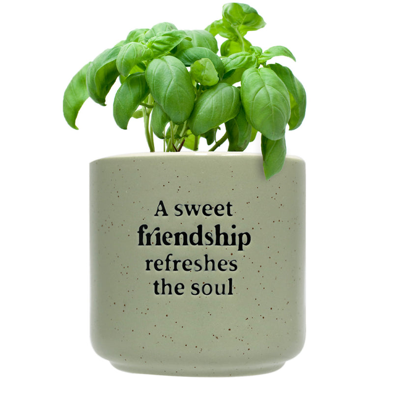 SPLOSH - Friendship Positive Pot