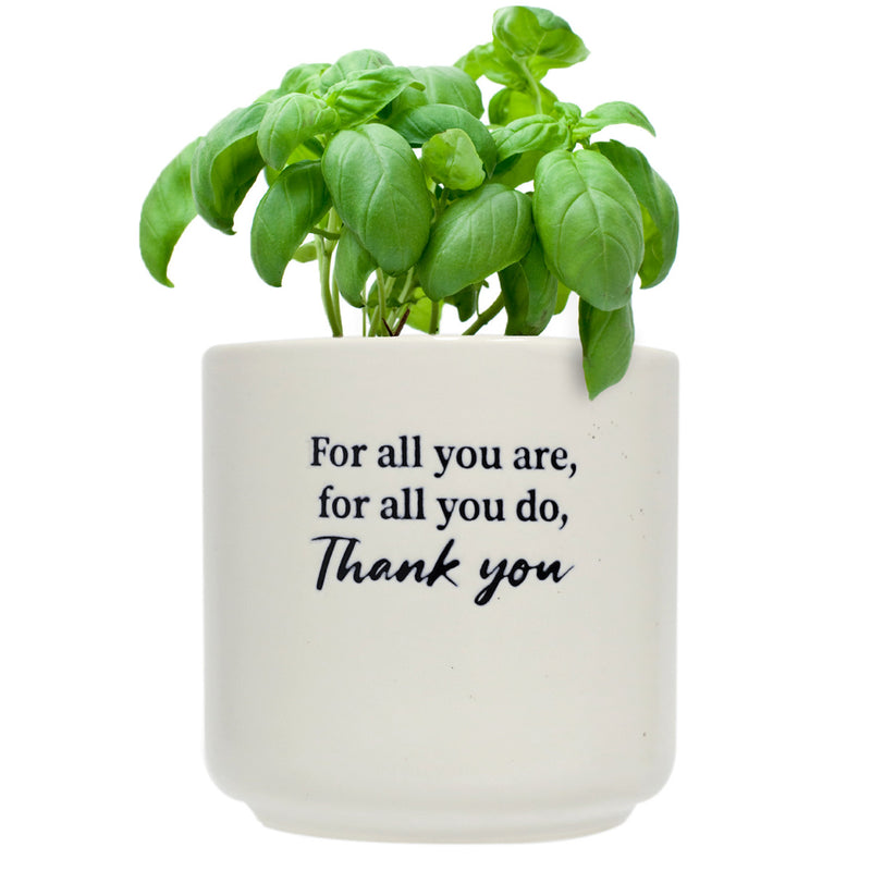 SPLOSH - Thank You Positive Pot