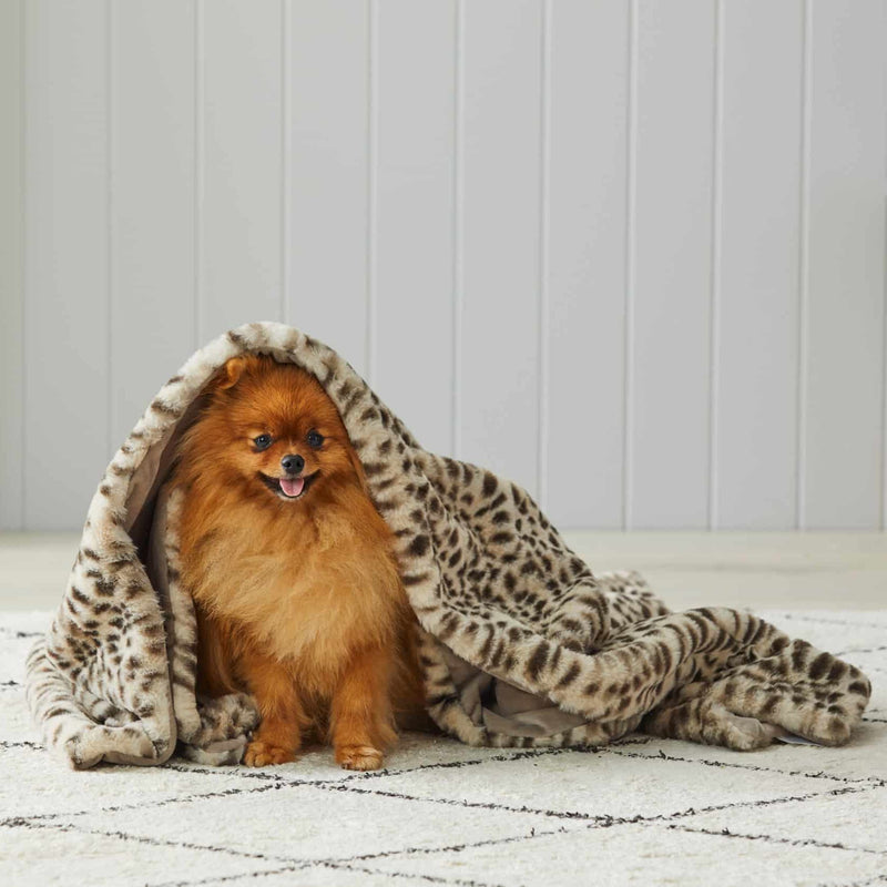 Jiggle & Giggle - Animal Print Faux Fur Baby Blanket