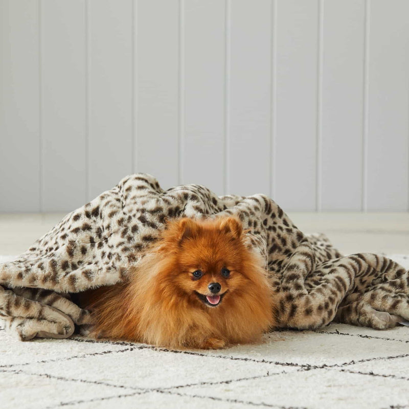 Jiggle & Giggle - Animal Print Faux Fur Baby Blanket