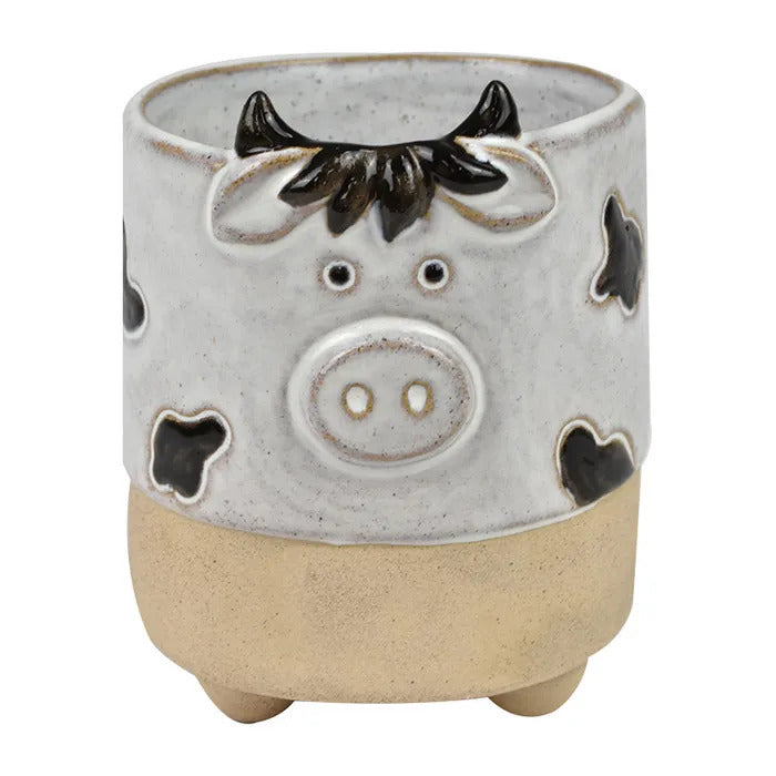 Coast to Coast - Clarrie Cow Cer Pot Nat/Wht 8x9.5cm