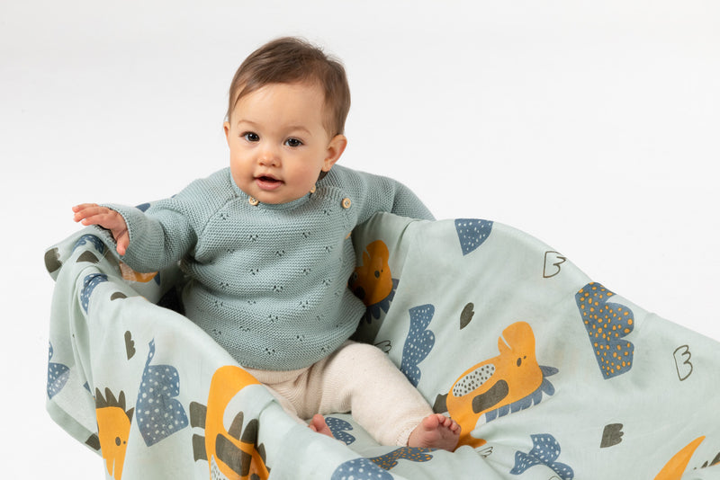 Indus - Dino Baby Swaddle