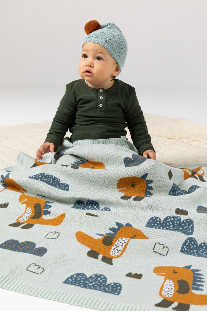 Indus - Dino Baby Swaddle