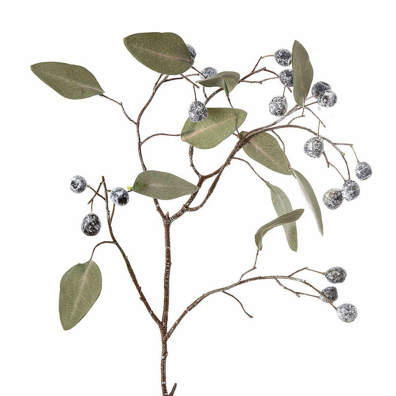 Florabelle - Eucalyptus & Berries Spray 60cm