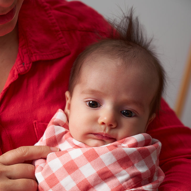 Annabel Trends - Muslin Bib - Gingham Rhubarb