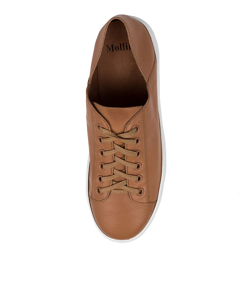 Mollini - Oskher - Dark Tan Leather