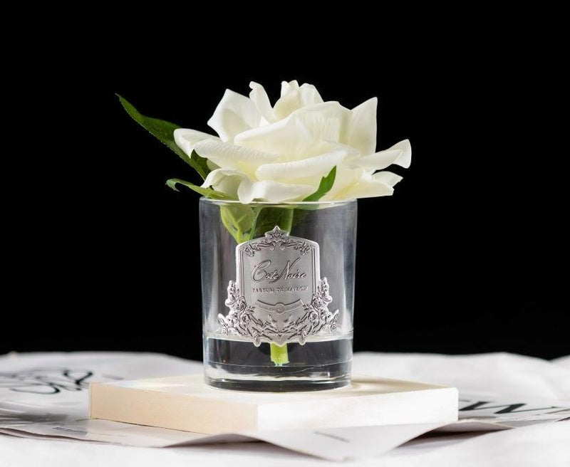Cote Noire - Single French Rose - Ivory White