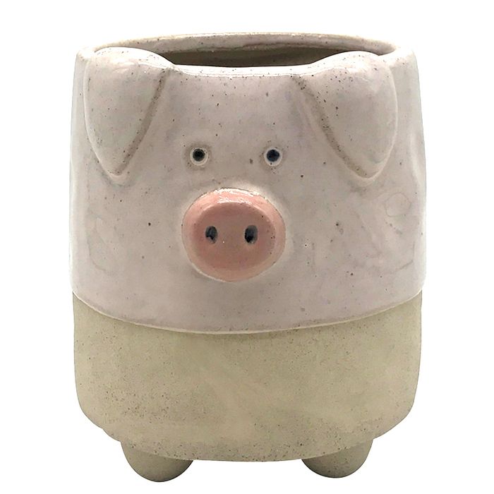 Coast to Coast - Primrose Pig Ceramic Planter Pink 12x12.5