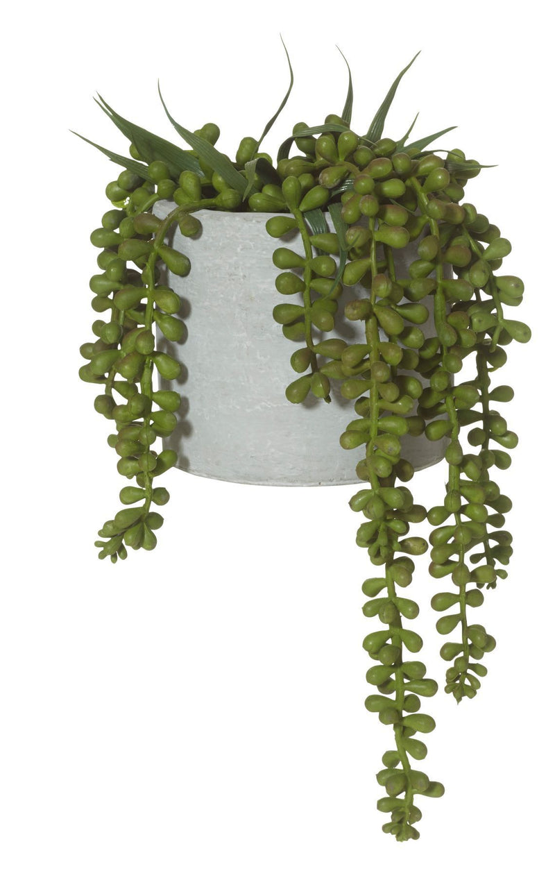 Rogue - String Of Pearsl In Cement Pot 15x15x27cm