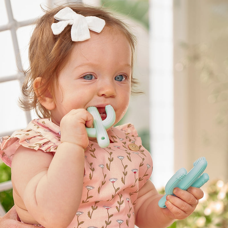 Annabel Trends - Silicone Teether - Cactus - Peach