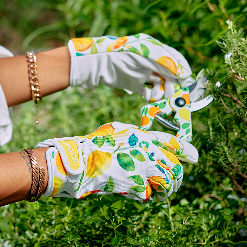 Annabel Trends - Sprout Goatskin Gloves - Amalfi Citrus