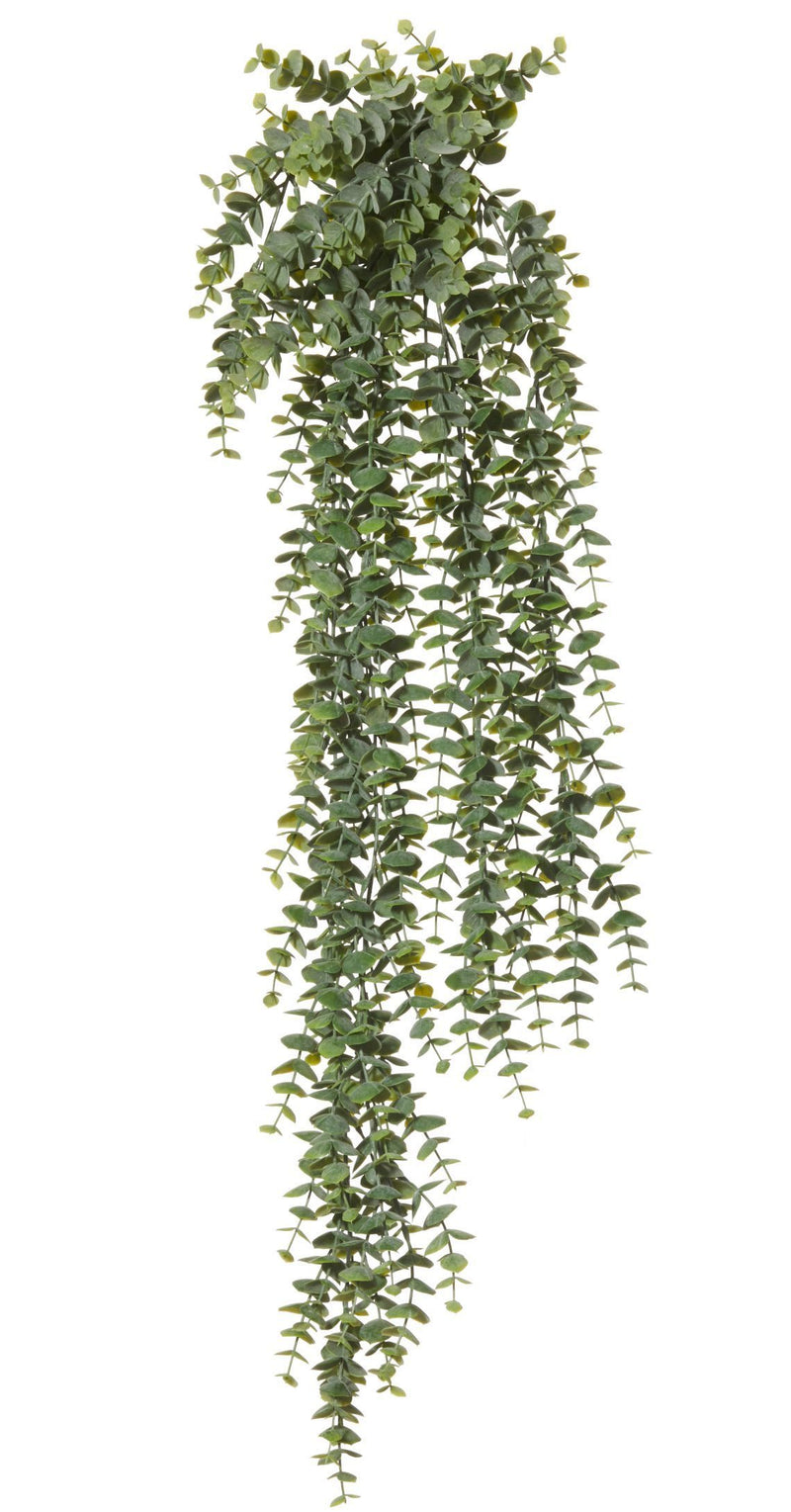 Rogue - Trailing Falls Bush Green 80cm