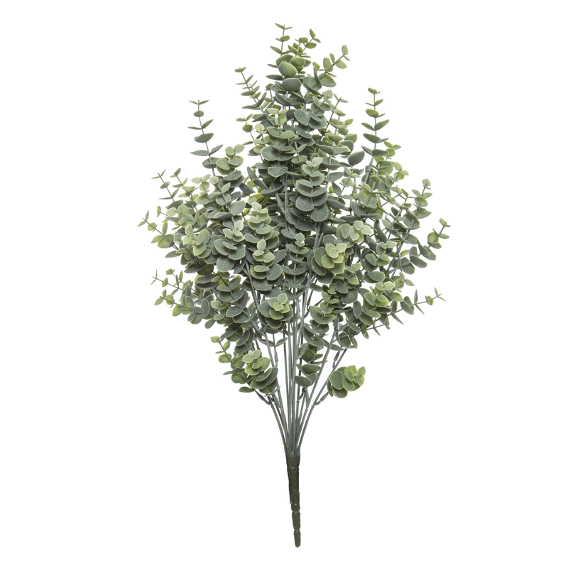Rogue - Eucalyptus Bush Grey Green 44cm